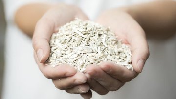 Konopí - plodina s obrovským potenciálem